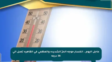 عاجل اليوم.. انكسار موجة الحرّ الشديدة والعظمى في القاهرة تصل إلى 36 درجة